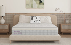 Read more about the article Horizon Juno 5000 Pocket Memory Mattress Review: Top Features Explained